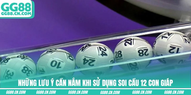 Những lưu ý cần nắm khi sử dụng soi cầu 12 con giáp