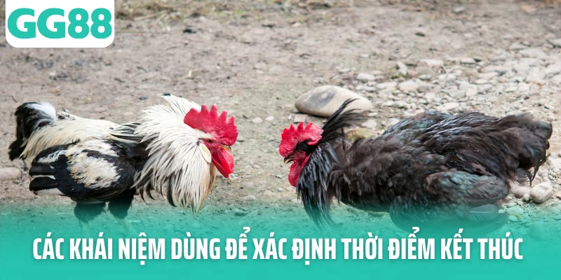Các khái niệm dùng để xác định thời điểm kết thúc Các khái niệm dùng để xác định thời điểm kết thúc